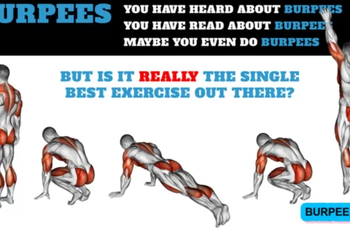 what is burpees exercise