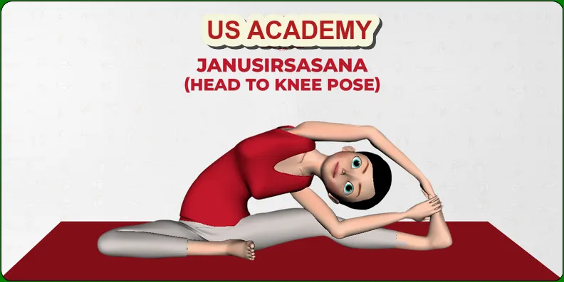 Weight loss yoga, janu sirsasana, Baddha Konasana, Malasana, upavistha konasana